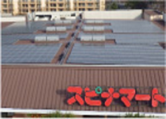 Spina Lazolier Takami